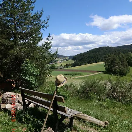 Σπίτι διακοπών Haus Diesenhof *