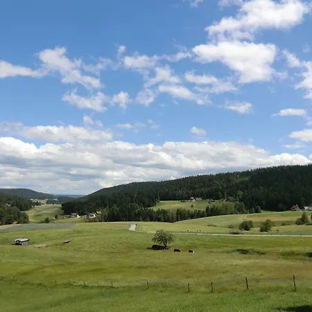 Haus Diesenhof Holiday home Lauterbach (Baden-Wurttemberg)