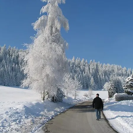 Σπίτι διακοπών Haus Diesenhof Lauterbach (Baden-Wurttemberg)